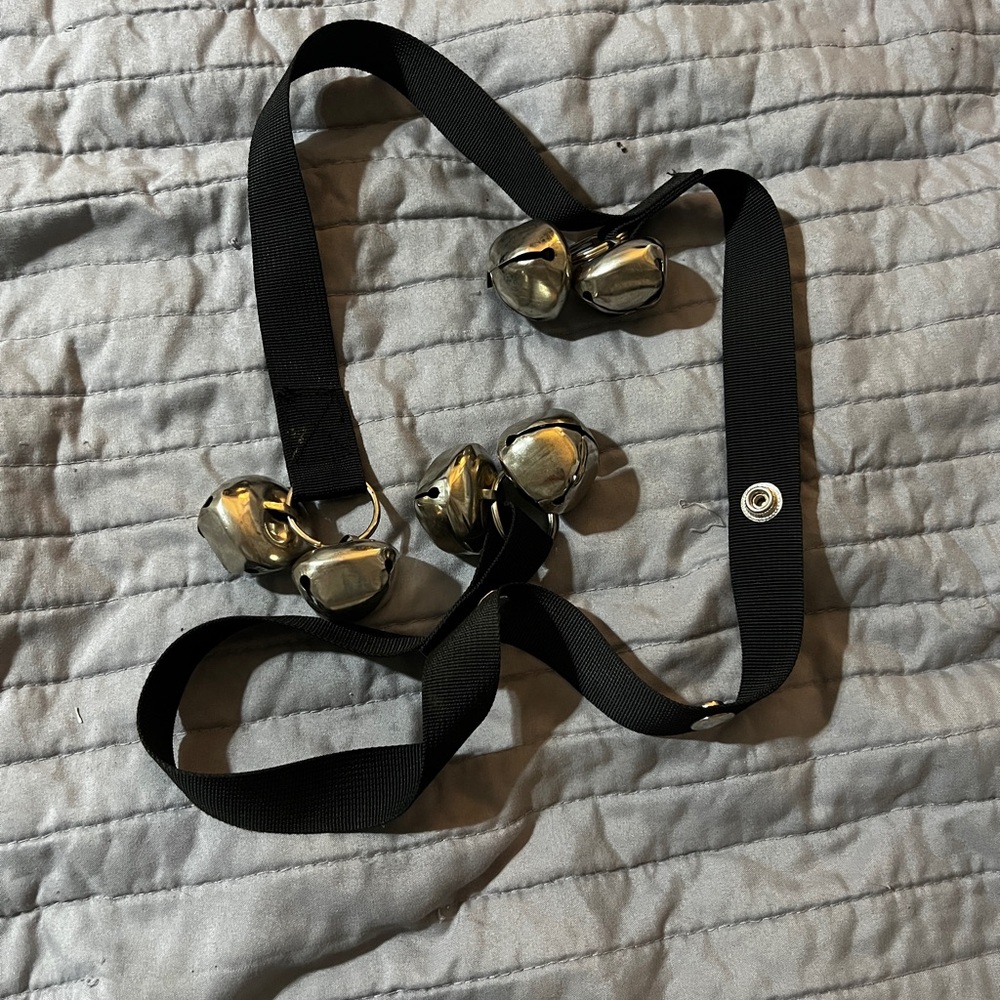 Dog Accessory bundle - Medium Size - Picture 2 of 9